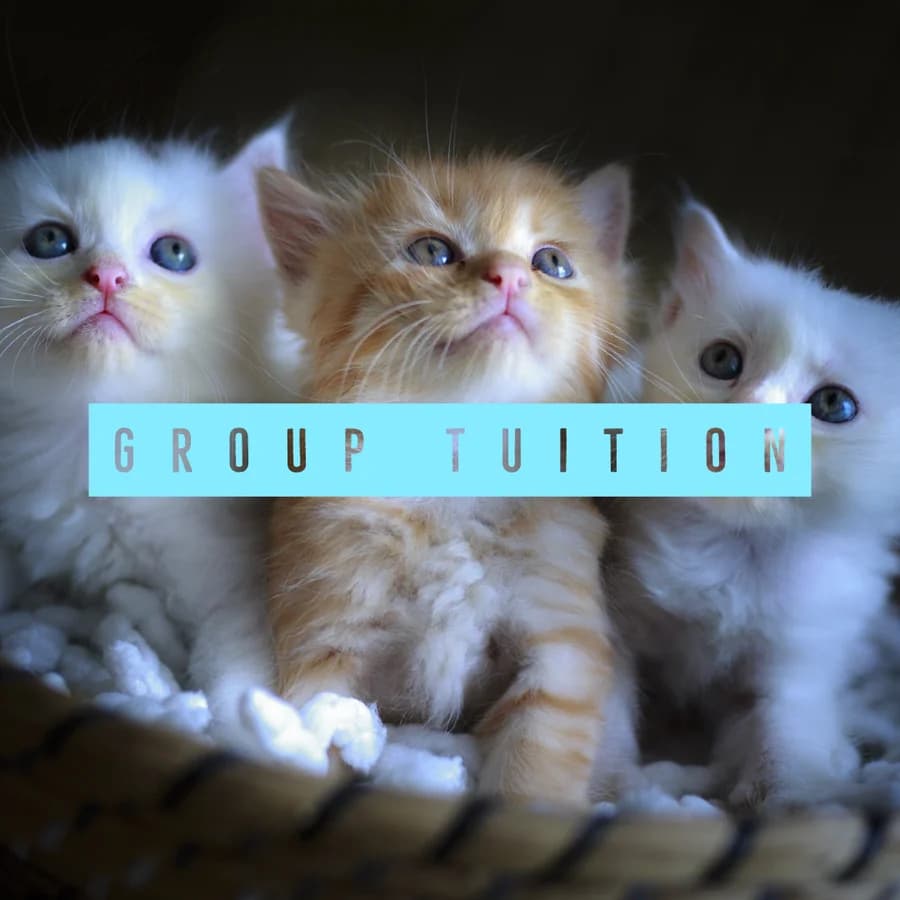 Small-group English tuition with Blossoming Mind.