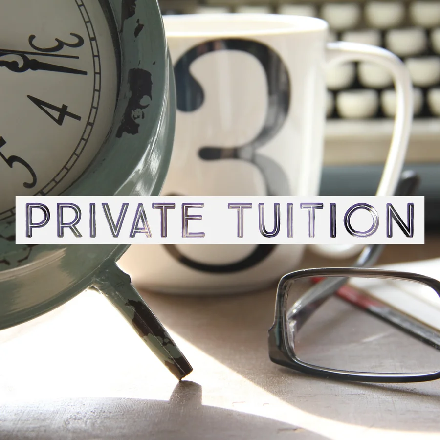 One-to-one private tuition session.